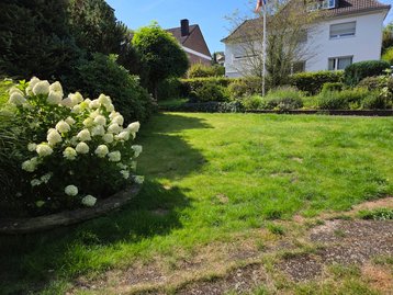 Grünes Baugrundstück in Menden mit Wiese, Büschen und Blumen – geeignet für das Town & Country Haus Aura 125